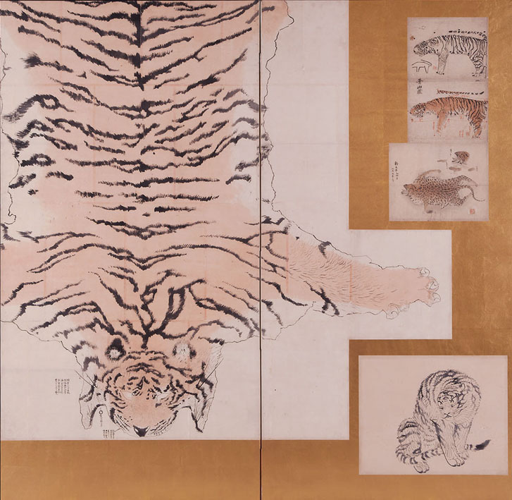 虎皮写生図　円山応挙 筆 江戸時代中期(18世紀）