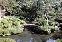 太鼓橋と中島の松
