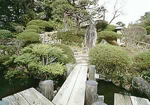 庭の中心をなす蓬莱石と八つ橋
