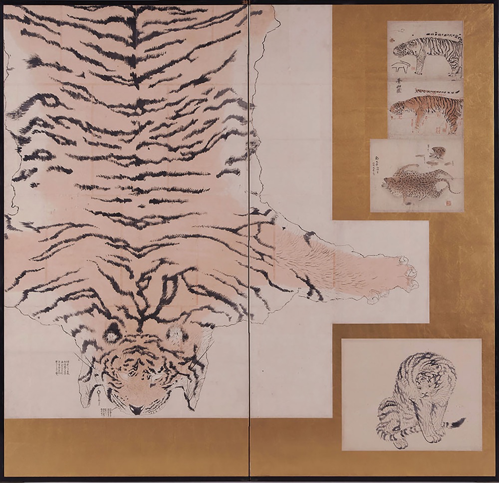 円山応挙《虎皮写生図》　江戸時代中期(18世紀)