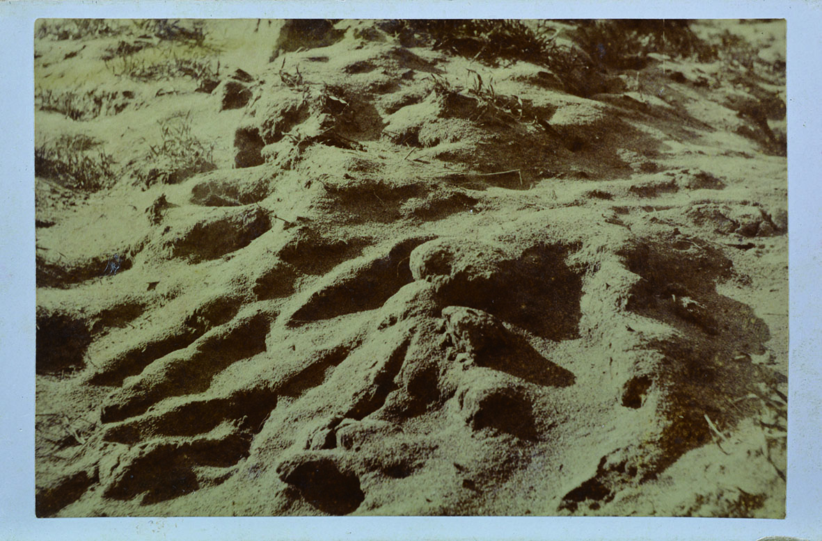 《酒田大地震写真》　明治27年(1894)　酒田市指定文化財　