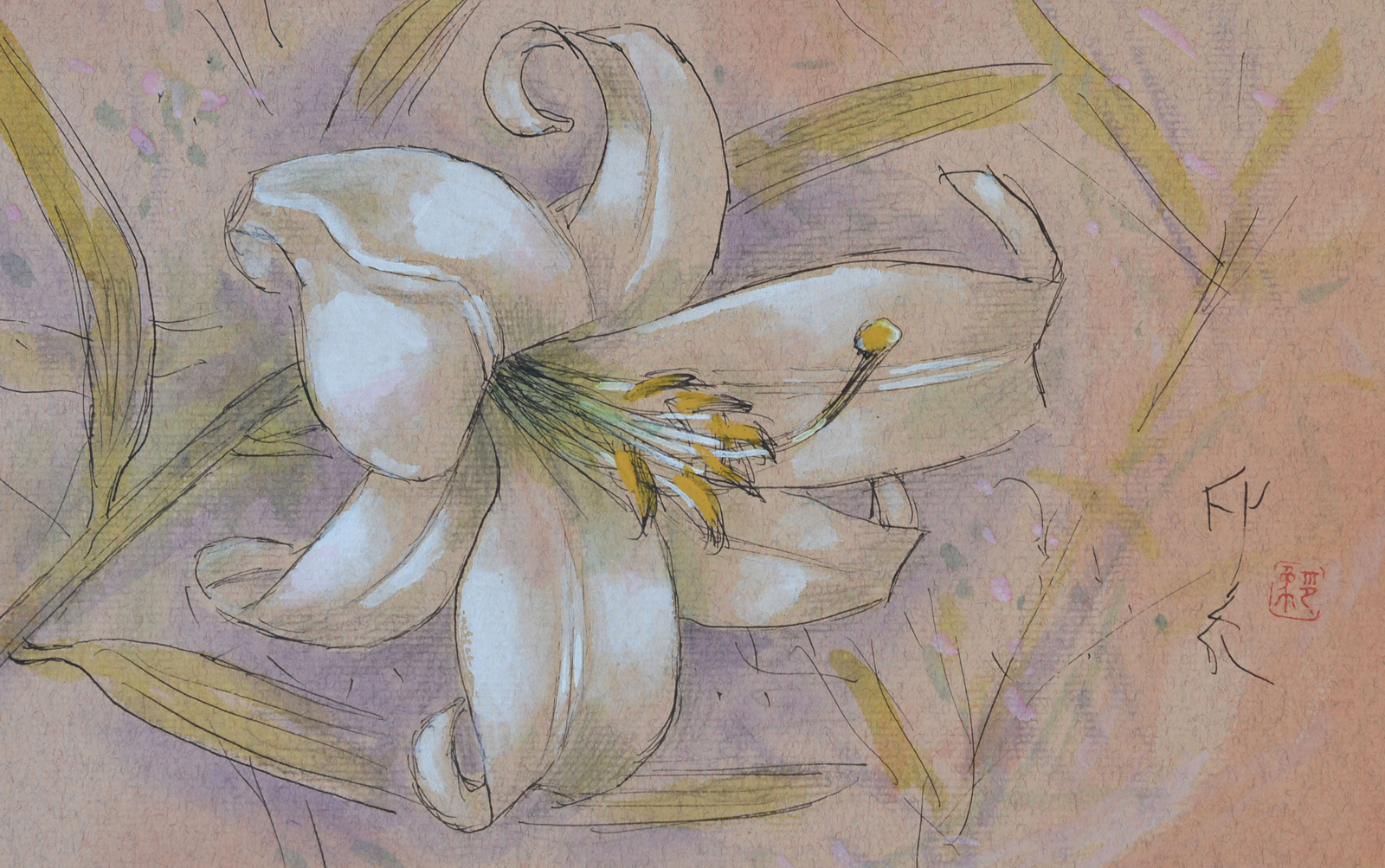 企画展のみどころ