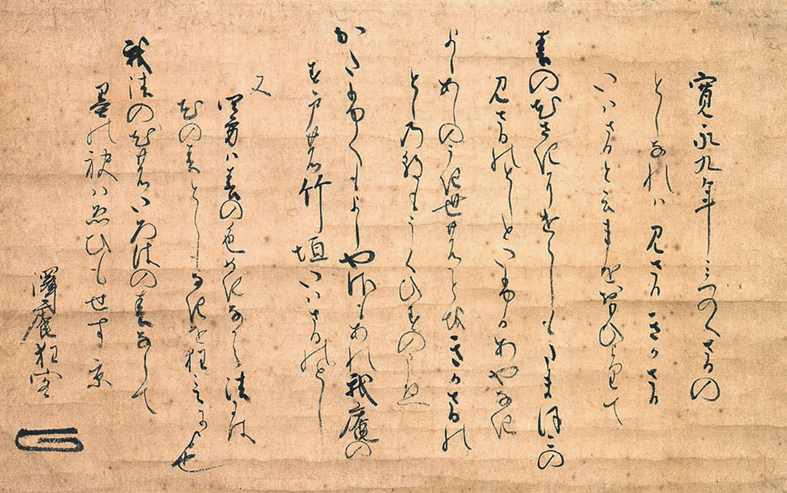 企画展のみどころ