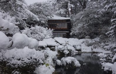 1月11日より、2018年がスタートしました。