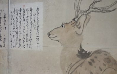 後期展示開催「酒田の文化財と茶道具名宝展」