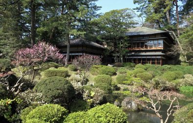 展示替えに関わる休館日のおしら