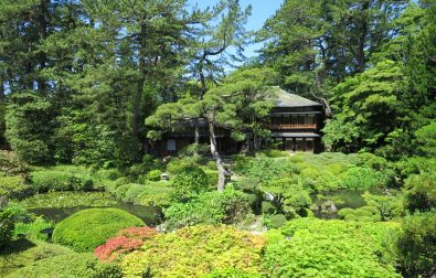 展示替えに関わる休館日のお知らせ