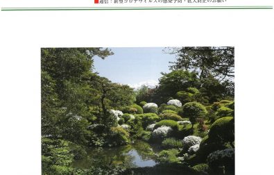 館報第65号（4－6月号）発刊