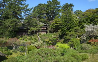 【重要】休館延長のお知らせ