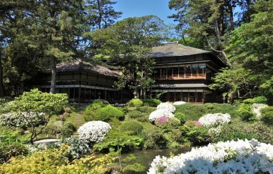 【重要】5月16日（土）から通常開館します