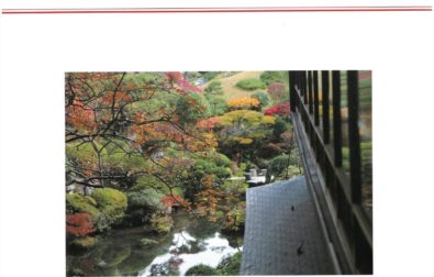 館報第67号（10－12月号）発刊