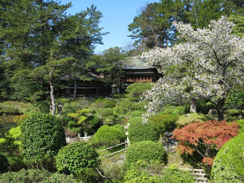 【重要】入館料改定のお知らせ（2026年4月1日より適用）